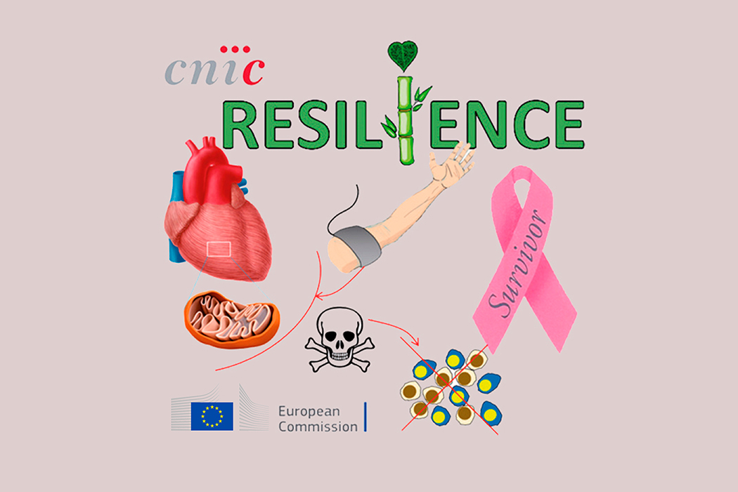 Proyecto Resilience