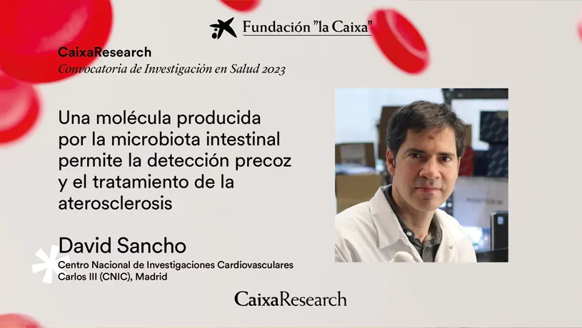 Tres Proyectos del CNIC seleccionados en la convocatoria “Proyectos de Investigación en Salud 2023” de la Fundación ”la Caixa”