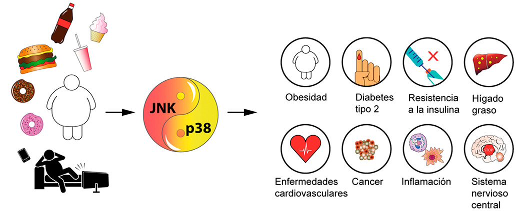 Nature Reviews Endocrinology