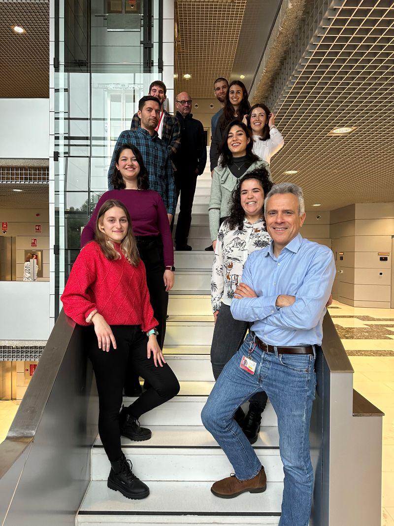 Lab in January 2024. From left to right: D. MacGrogan, B. Flores-Garza, T. González-Costa, V. Sebastián-Serrano, J.L. de la Pompa, L. Méndez-Peralta, A. Pau-Navalón, A. Galicia-Martín, J. Santos-Cantador, C. Relaño-Ruperez, M. Siguero-Álvarez.